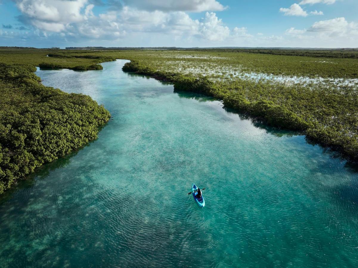 Como Parrot Cay Sandy Point Kültér fotó