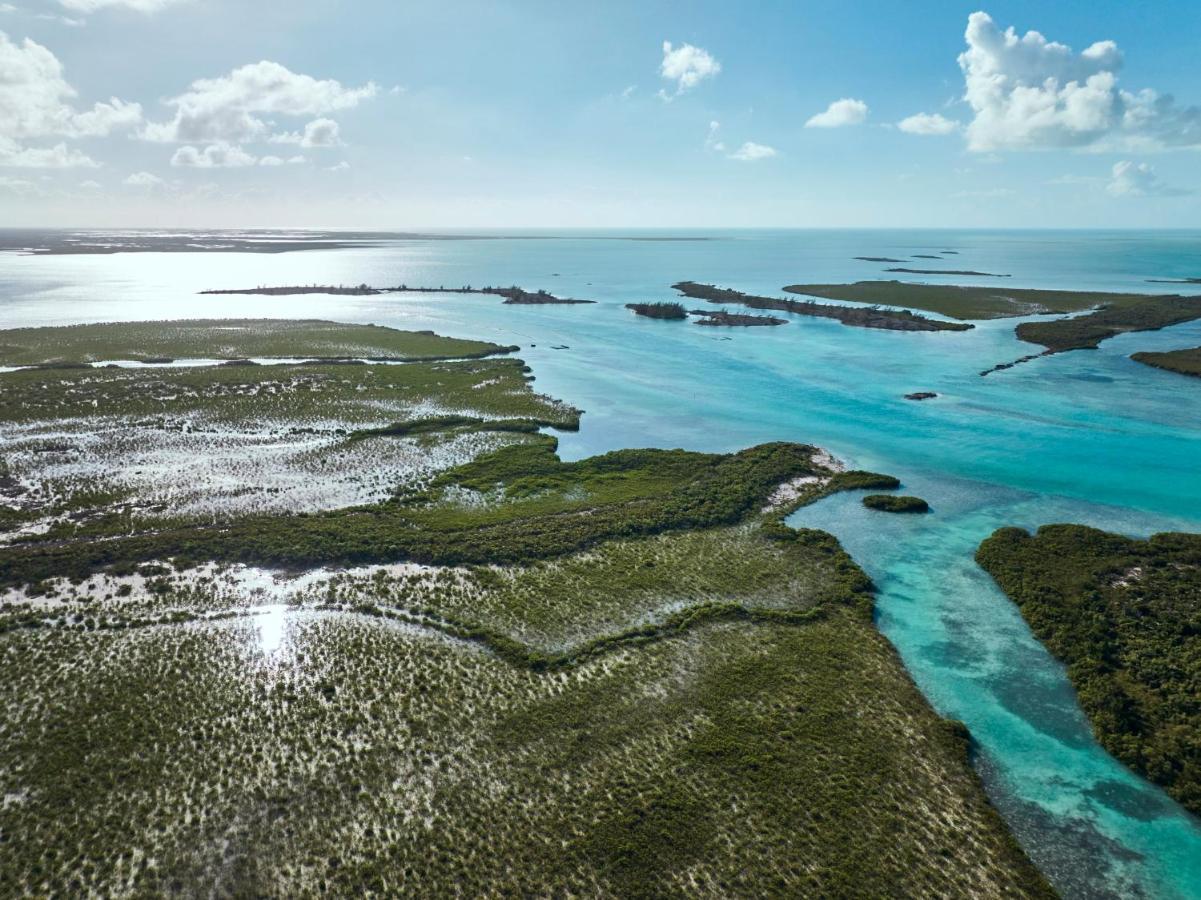 Como Parrot Cay Sandy Point Kültér fotó